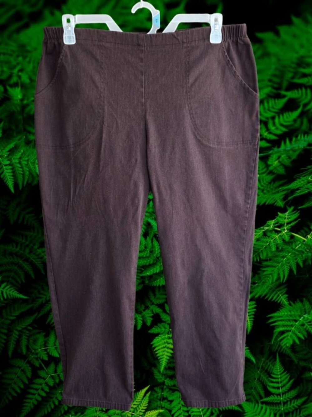 JMS Just My Size Women's Pants Pull On Elastic Waist Straight Leg Brown Size 2X